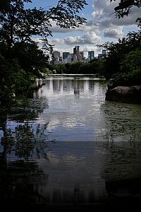 new york 083.jpg