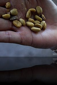 15 lares arecibo 0332 2.jpg